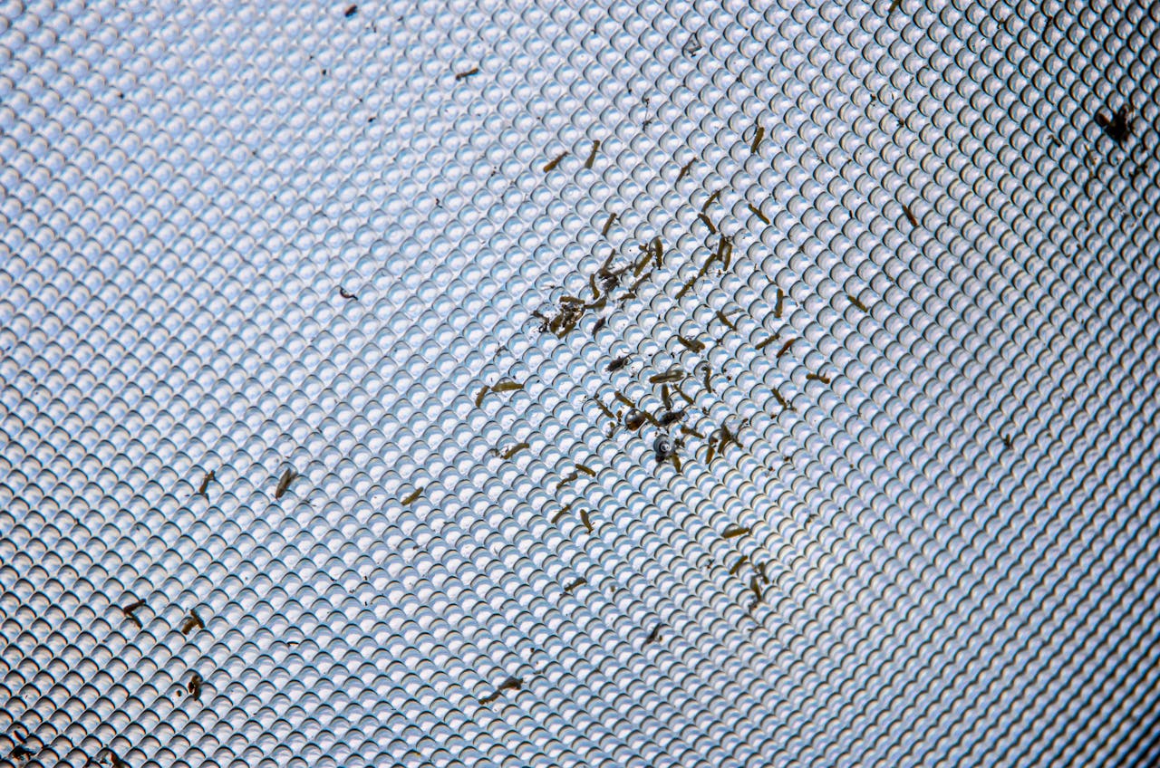 Detailed close-up of small insects trapped on a gray textured mesh surface.